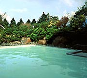 	湯の花沢温泉　湯の花温泉ホテル　（神奈川）	
